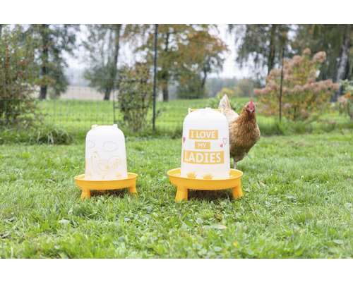 Zwei Geflügeltränken mit Aufdruck auf einer Wiese mit einem Huhn im Hintergrund.