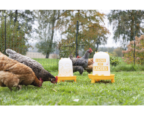 Hühner fressen neben zwei Futterspendern im Garten.