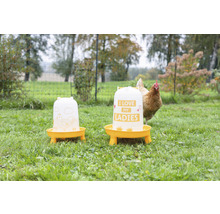 Zwei Geflügeltränken aus Kunststoff mit Aufdruck auf einer Wiese