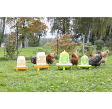 Mehrere Hühnerfutterspender der Marke Kerbl auf einer Wiese, mit Hühnern drumherum.