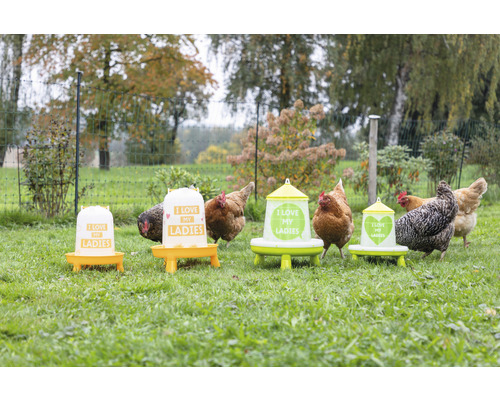 Mehrere Hühnerfutterspender der Marke Kerbl auf einer Wiese, mit Hühnern drumherum.