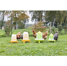 Mehrere Hühnerfutterspender mit Hühnern auf einer Wiese.