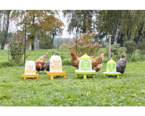 Mehrere Hühnerfutterspender mit Hühnern auf einer Wiese.