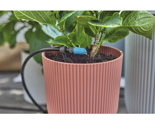 Gros plan d''une plante en pot avec système d''irrigation pour plantes d''intérieur