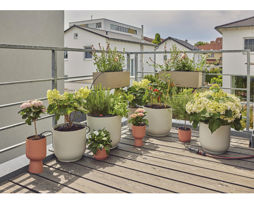 Scène de balcon avec diverses plantes et jardinières sur un plancher en bois