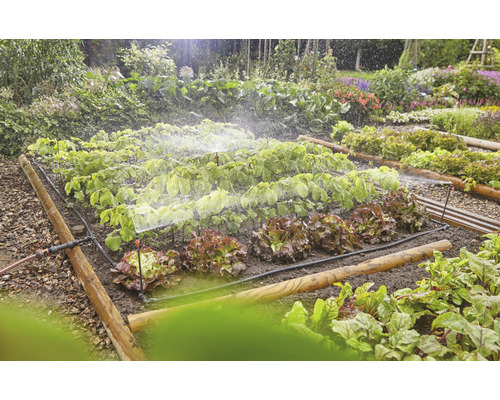 Potager avec système d''irrigation pour plantes