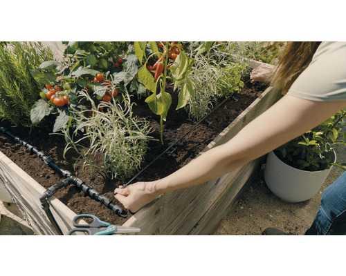 Jardinière surélevée avec des légumes et un système d''irrigation