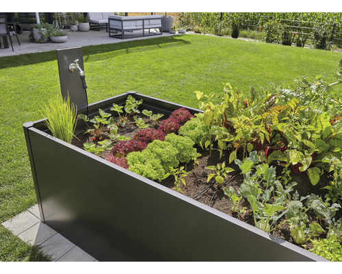 Jardinière surélevée avec différents légumes et robinet d''eau dans le jardin.