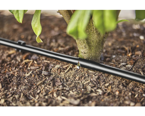 Tropfleitung zur Bewässerung einer Pflanze im Garten.