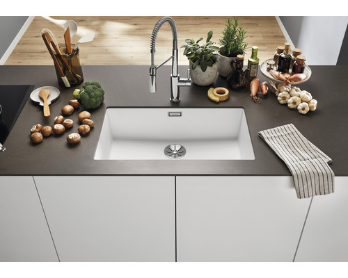 Spüle in einer Küche mit Armatur, Gemüse und Kräutern