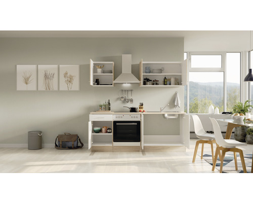 Küchenzeile mit Spüle, Kochfeld, Backofen, Dunstabzugshaube und Hängeschränken in einem hellen Raum