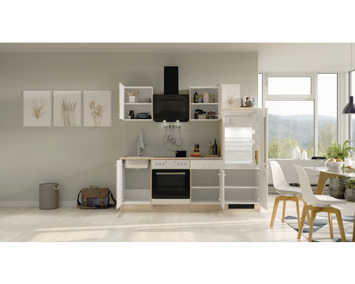 Cuisine intégrée moderne avec appareils électriques, évier, plans de travail et nombreux rangements dans les armoires et les tiroirs.