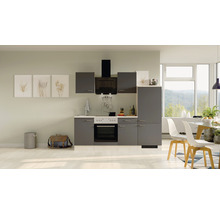 Cuisine complète avec appareils Flex Well Tiago 220 cm couleur de façade gris basalte - couleur du corps chêne clair san remo 00012335