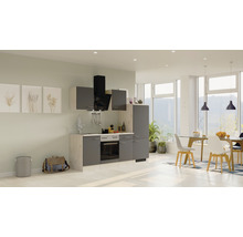 Cuisine complète avec appareils Flex Well Tiago 220 cm couleur de façade gris basalte - couleur du corps chêne clair san remo 00012335