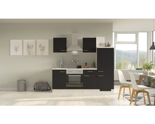 Bloc cuisine complète équipée Flex Well Santo 220 cm façade anthracite mate, corps chêne clair san remo variante réversible démonté