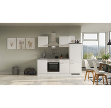 Cuisine complète avec appareils Flex Well Varo 220 cm couleur de façade blanc - couleur du corps blanc 00012356