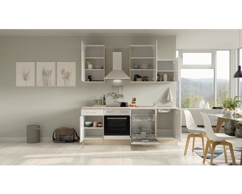 Cuisine équipée avec lave-vaisselle, cuisinière, hotte aspirante et éléments hauts dans une cuisine claire.