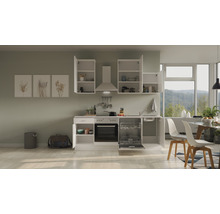 Cuisine complète avec appareils Flex Well Wito 220 cm couleur de façade blanc - couleur du corps blanc 00008213