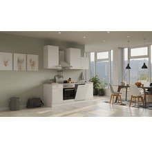 Cuisine complète avec appareils Flex Well Wito 220 cm couleur de façade blanc - couleur du corps blanc 00008213