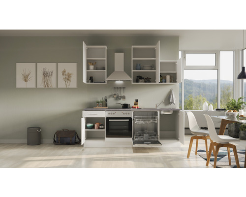 Cuisine complète avec évier intégré, lave-vaisselle, four et placards suspendus dans une cuisine claire et spacieuse.