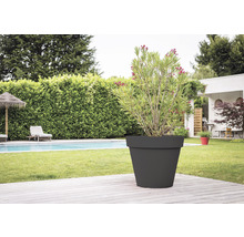 Grosser, dunkler Pflanztopf mit Pflanze im Garten