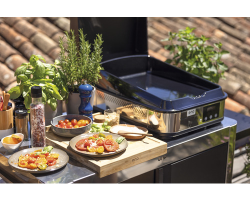 Plancha ENA avec aliments, herbes et épices