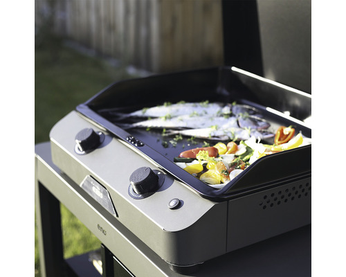 Grill à gaz avec poisson et légumes sur plaque de cuisson