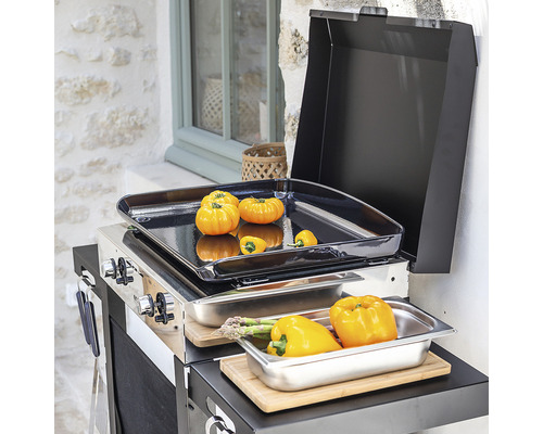 Barbecue avec des légumes sur des plateaux