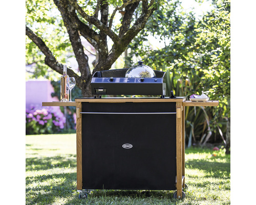 Chariot de grill avec barbecue à gaz et accessoires dans le jardin