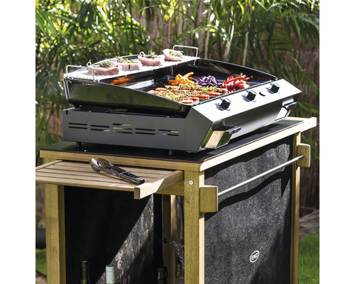 Barbecue avec chariot à barbecue et nourriture