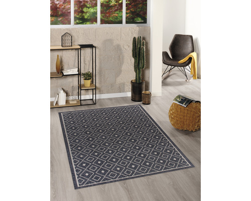 Wohnzimmer mit einem Teppich mit geometrischem Muster, einem Regal und einer Kaktuspflanze