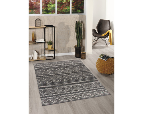 Zimmeransicht mit gemustertem Teppich, Regal, Kaktus und Sessel