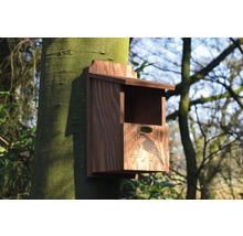 Holz-Nistkasten mit Robin-Illustration an Baum befestigt