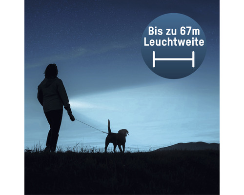 Femme promène son chien la nuit, portée jusqu''à 67 mètres