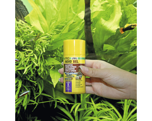 Eine Hand hält eine Dose JBL NovoBel Fischfutter vor einem Aquarium.