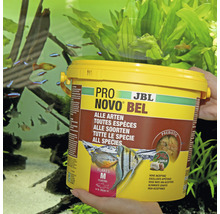JBL Pro Novo Bel Fischfutter für alle Arten in gelber Verpackung vor einem Aquarium