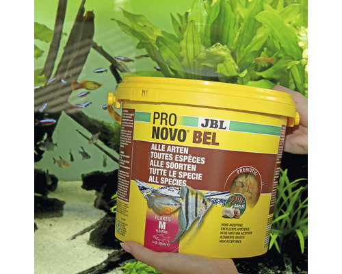 Aliments pour poissons JBL Pro Novo Bel pour toutes les espèces dans un emballage jaune devant un aquarium