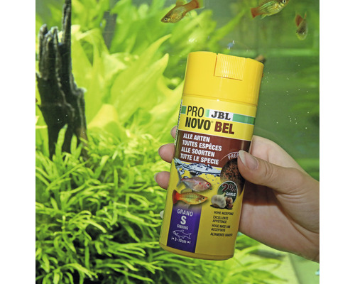 JBL Novo Bel Fischfutter Dose für alle Fischarten
