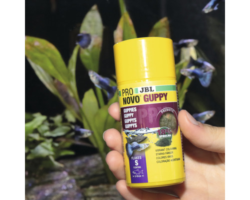 JBL Novo Guppy Pro Aliments pour poissons Guppys