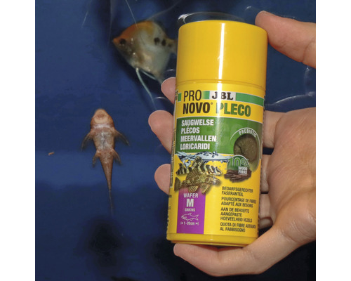 JBL Novo Pleco comprimés alimentaires pour poissons-chats