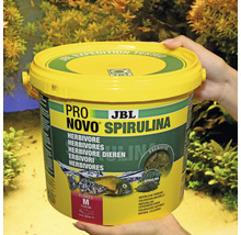 JBL Pro Novo Spirulina nourriture pour poissons herbivores