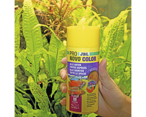 JBL Novo Color nourriture pour poissons pour toutes les espèces de poissons d''ornement