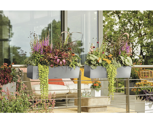 Deux jardinières grises sur le garde-corps du balcon avec différentes fleurs et plantes.