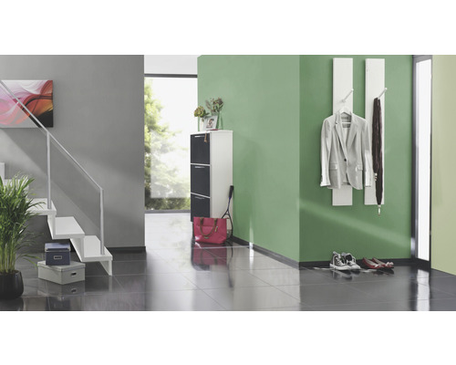 Couloir avec escalier, meuble à chaussures et porte-manteau