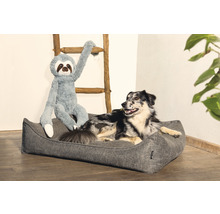 Chien dans un lit pour chien avec une peluche paresseux