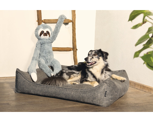 Chien dans un lit pour chien avec une peluche paresseux