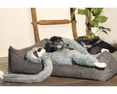 Chien allongé dans un lit pour chien gris avec une peluche paresseux.