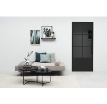 Salon avec canapé, table basse et porte intérieure noire avec insert en verre