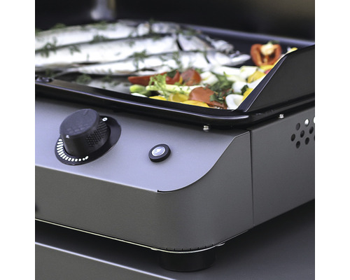 Plaque de grill avec poisson et légumes, gros plan