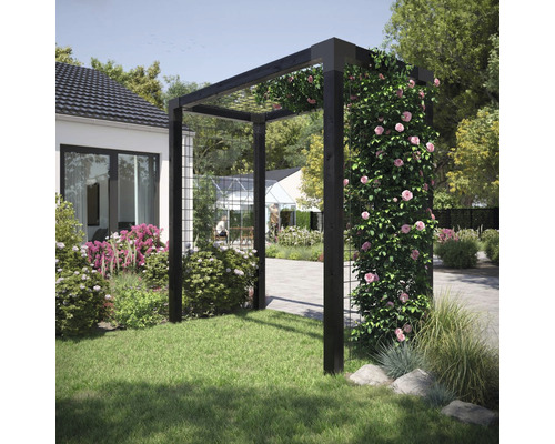 Pergola en bois avec végétation dans le jardin